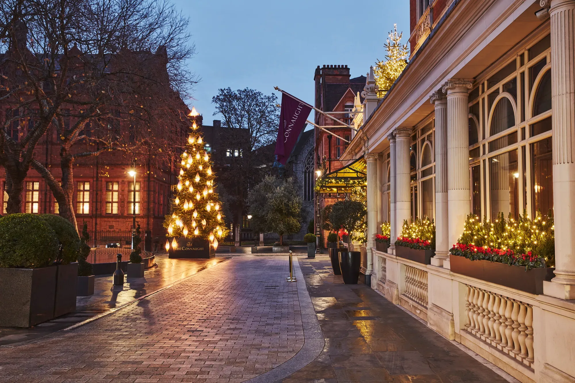 Lit Christmas tree on a cobbled street outside an elegant hotel entrance with festive window displays at dusk