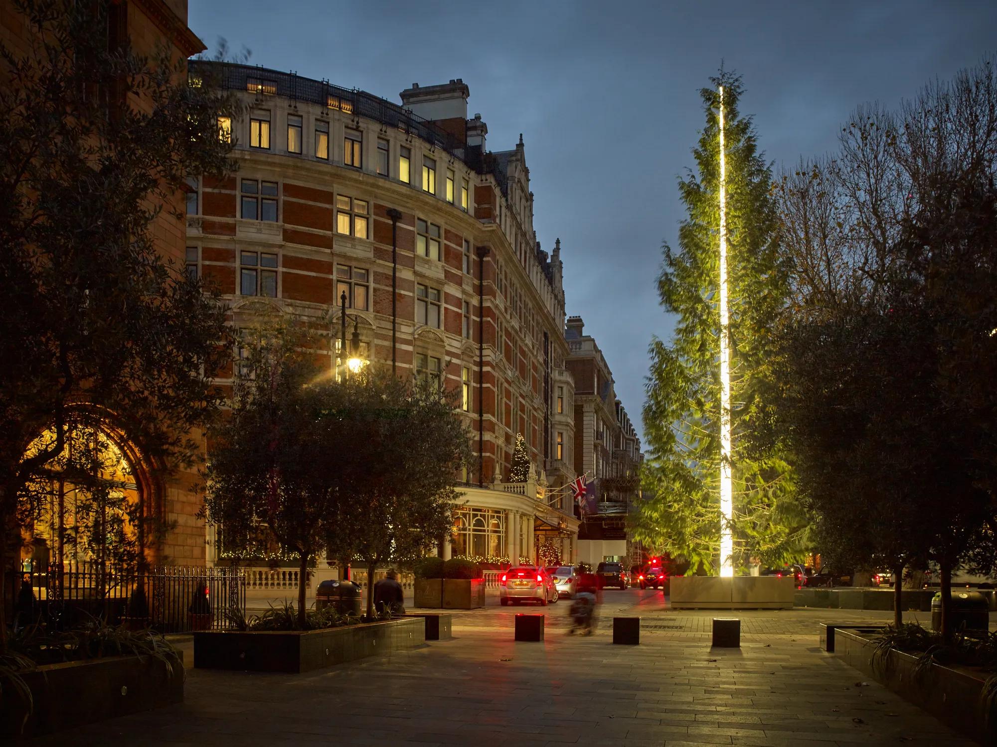 Large illuminated Christmas tree outside grand London hotel at dusk with cars passing.