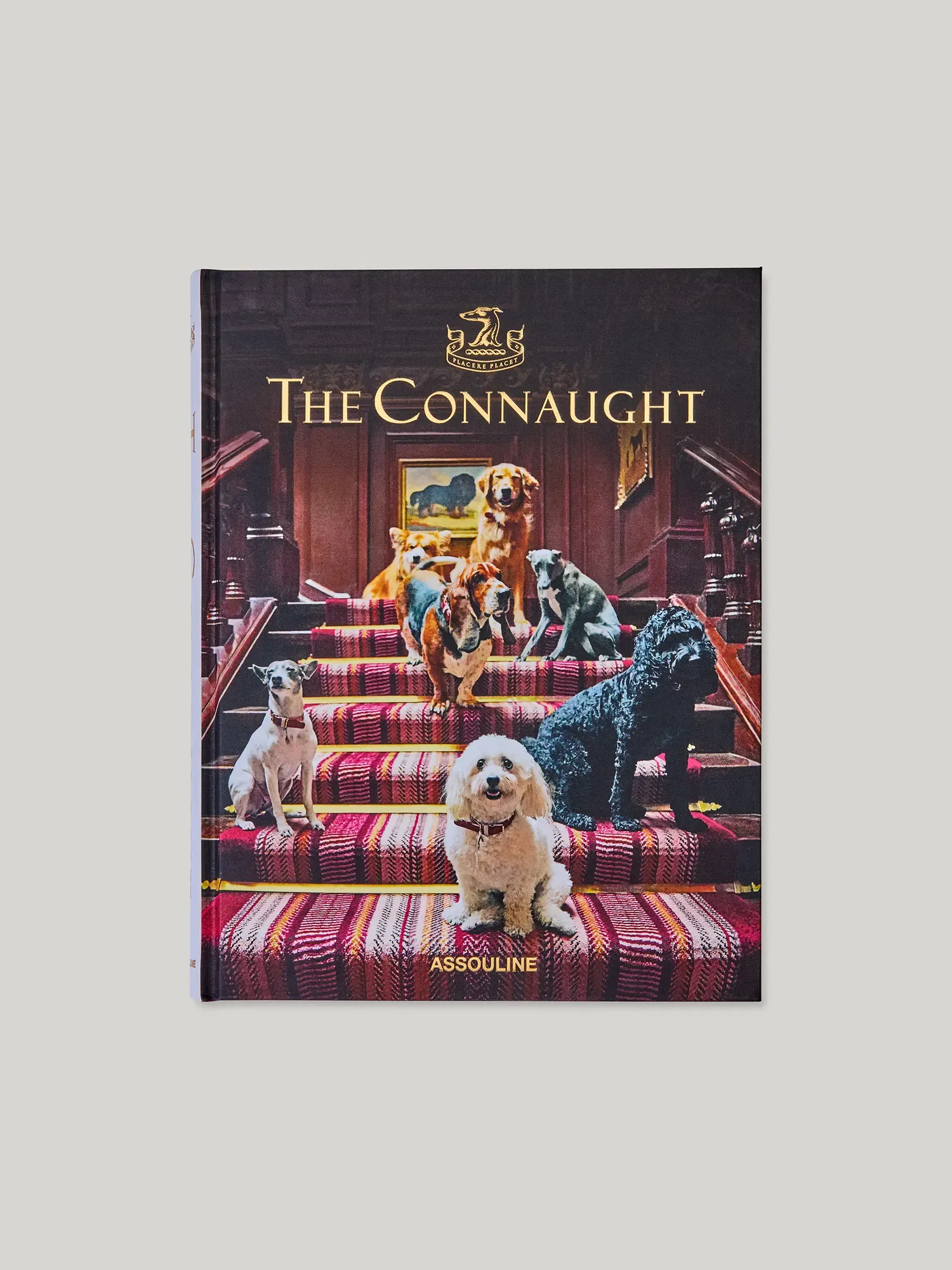 Book cover titled “The Connaught” showing several dogs posed on a red-carpeted staircase inside a grand hotel interior.