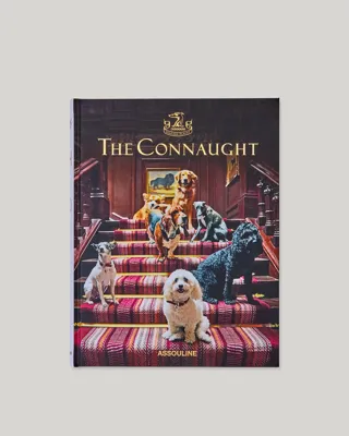 Book cover titled “The Connaught” showing several dogs posed on a red-carpeted staircase inside a grand hotel interior.