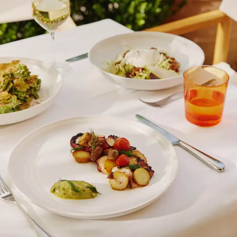 Octopus with potatoes and tomatoes on a terrace table; burrata salad and drinks in the background.