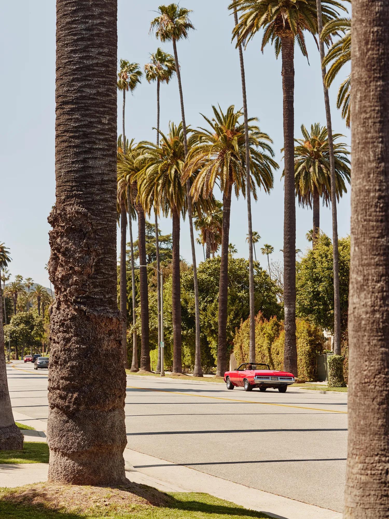 Red classic convertible driving along a Beverly Hills street lined with tall palms and leafy hedges.