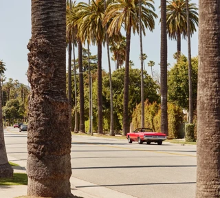 Red classic convertible driving along a Beverly Hills street lined with tall palms and leafy hedges.