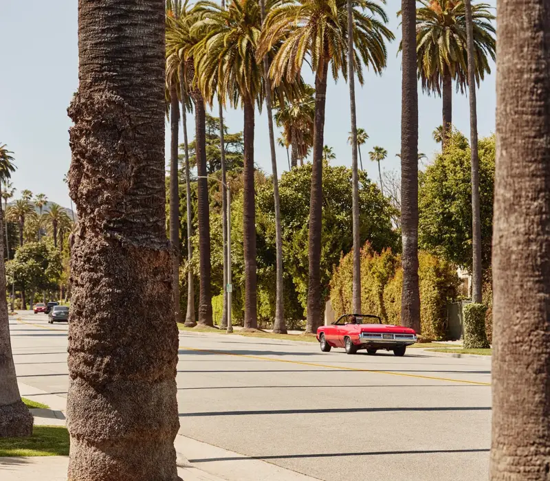 Red classic convertible driving along a Beverly Hills street lined with tall palms and leafy hedges.