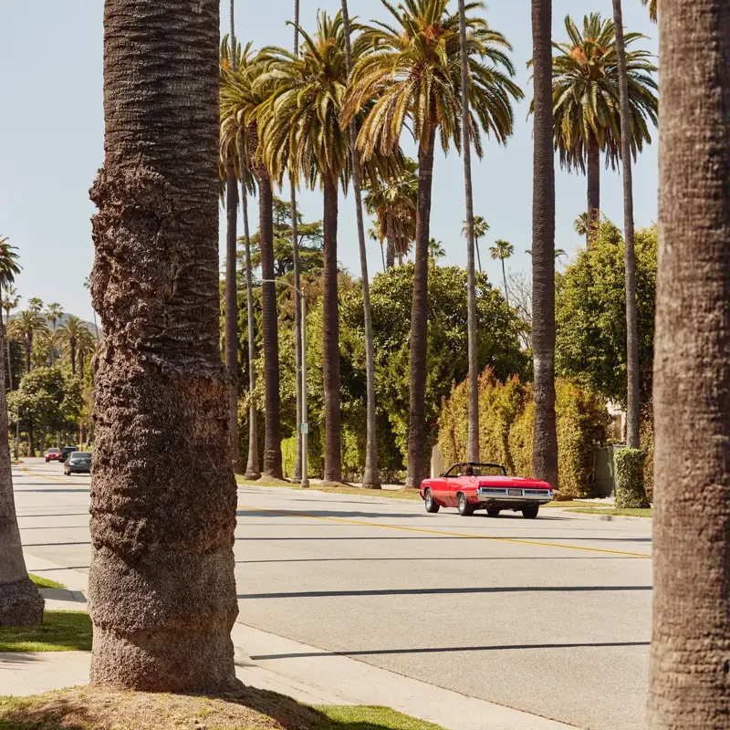 Red classic convertible driving along a Beverly Hills street lined with tall palms and leafy hedges.