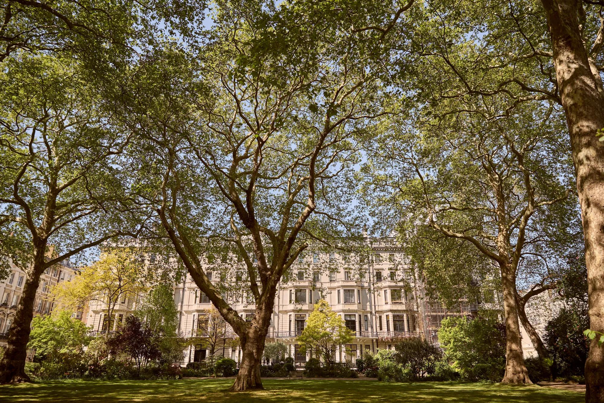 Large mature trees in a landscaped garden, with elegant white terraced buildings visible beyond the green open space.