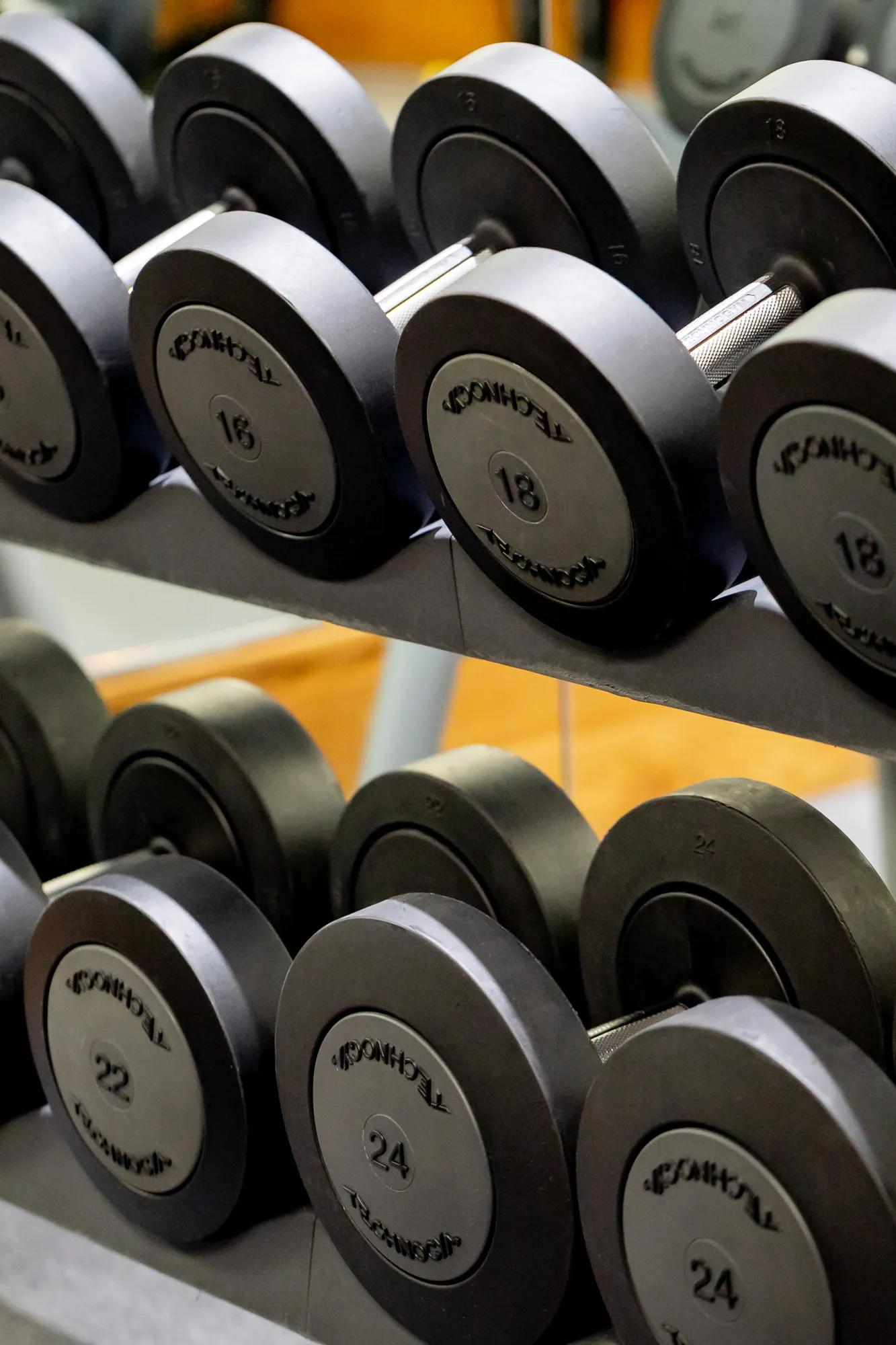 Row of black dumbbells arranged on a metal rack in a gym, with mirrored wall reflecting the weights.