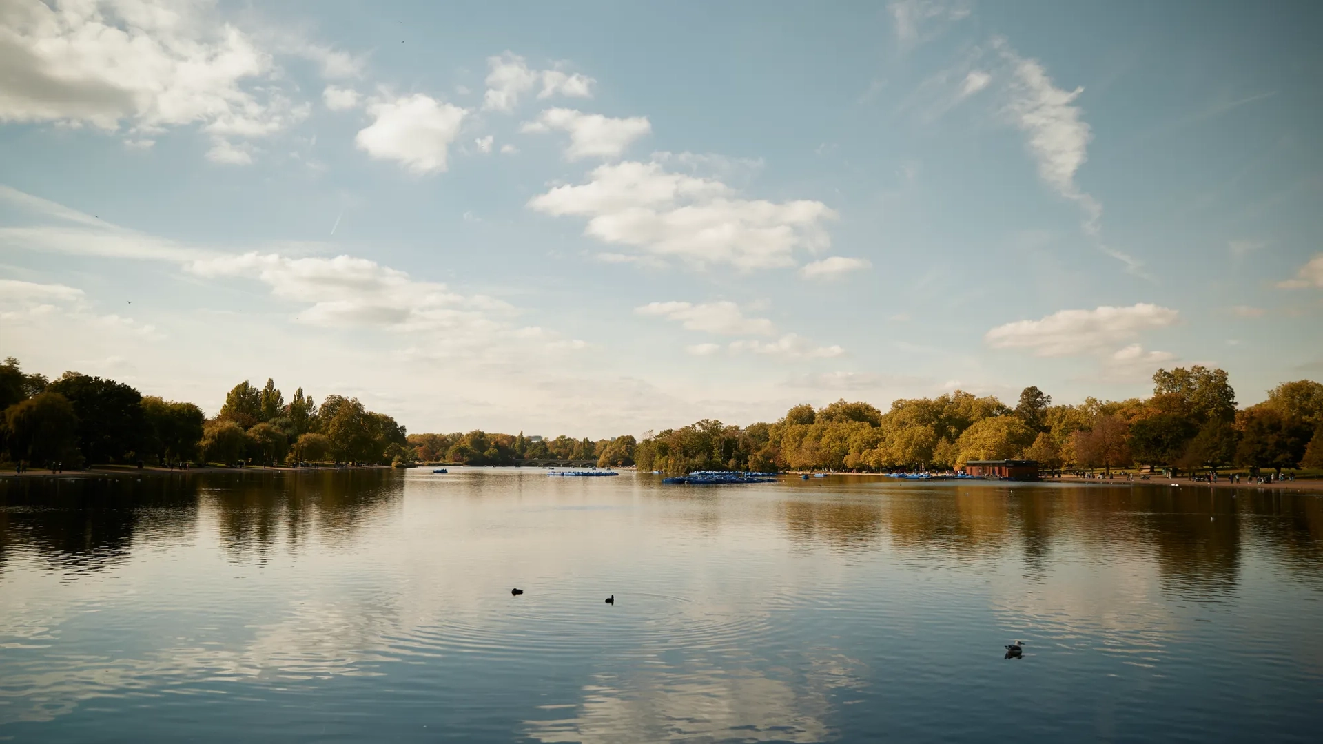 Wide view of Hyde Park showing expansive lawns, mature trees, and a walking path beside the Serpentine lake.