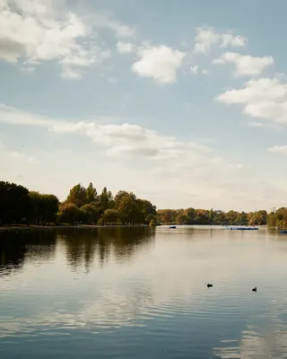 Wide view of Hyde Park showing expansive lawns, mature trees, and a walking path beside the Serpentine lake.