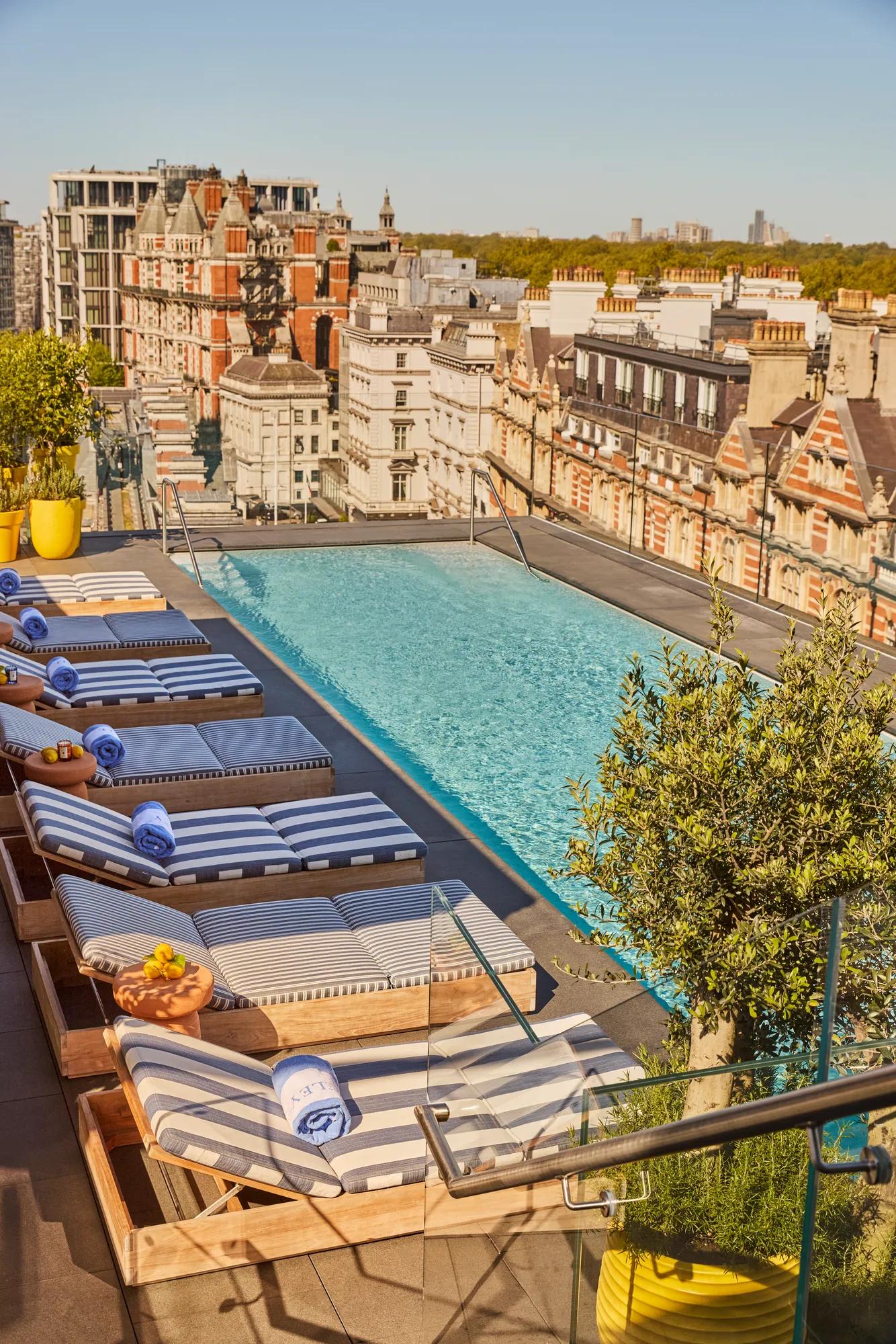 Rooftop pool with sun loungers in the sun 