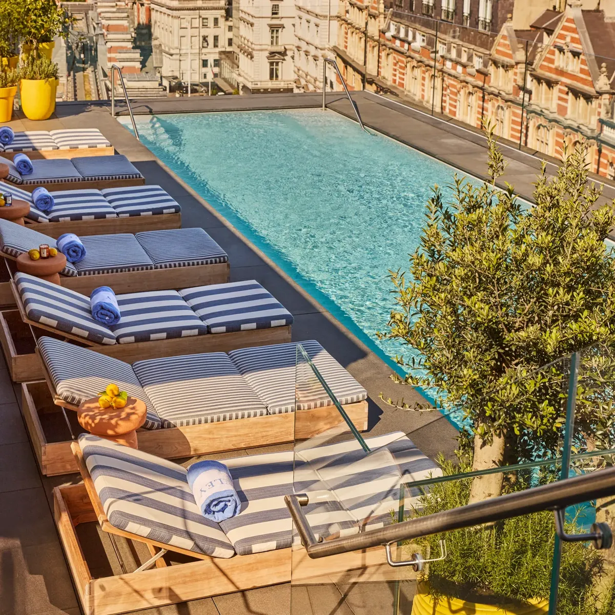 Rooftop pool with sun loungers in the sun 