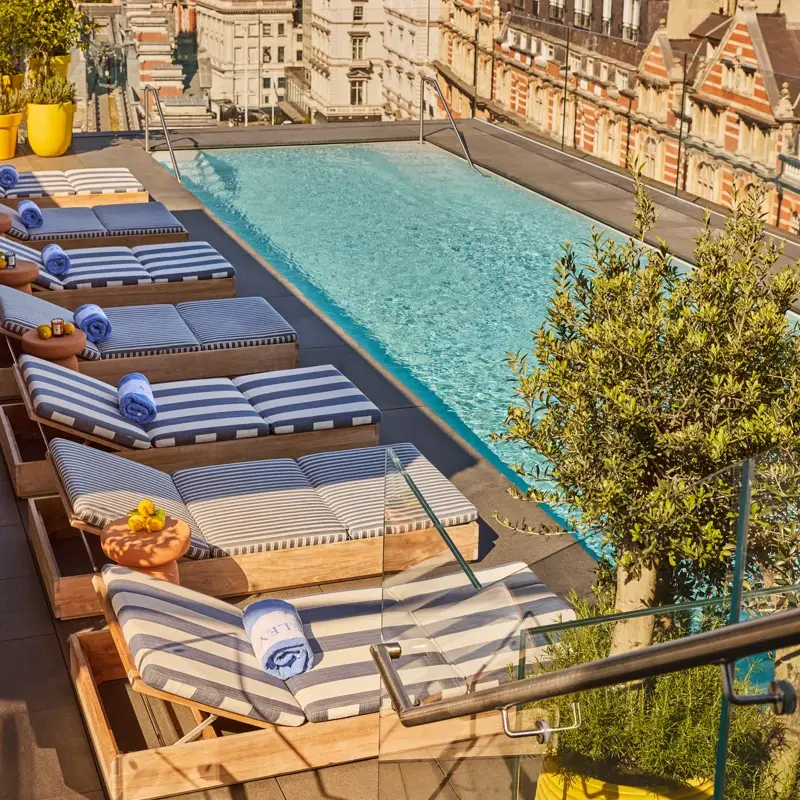 Rooftop pool with sun loungers in the sun 