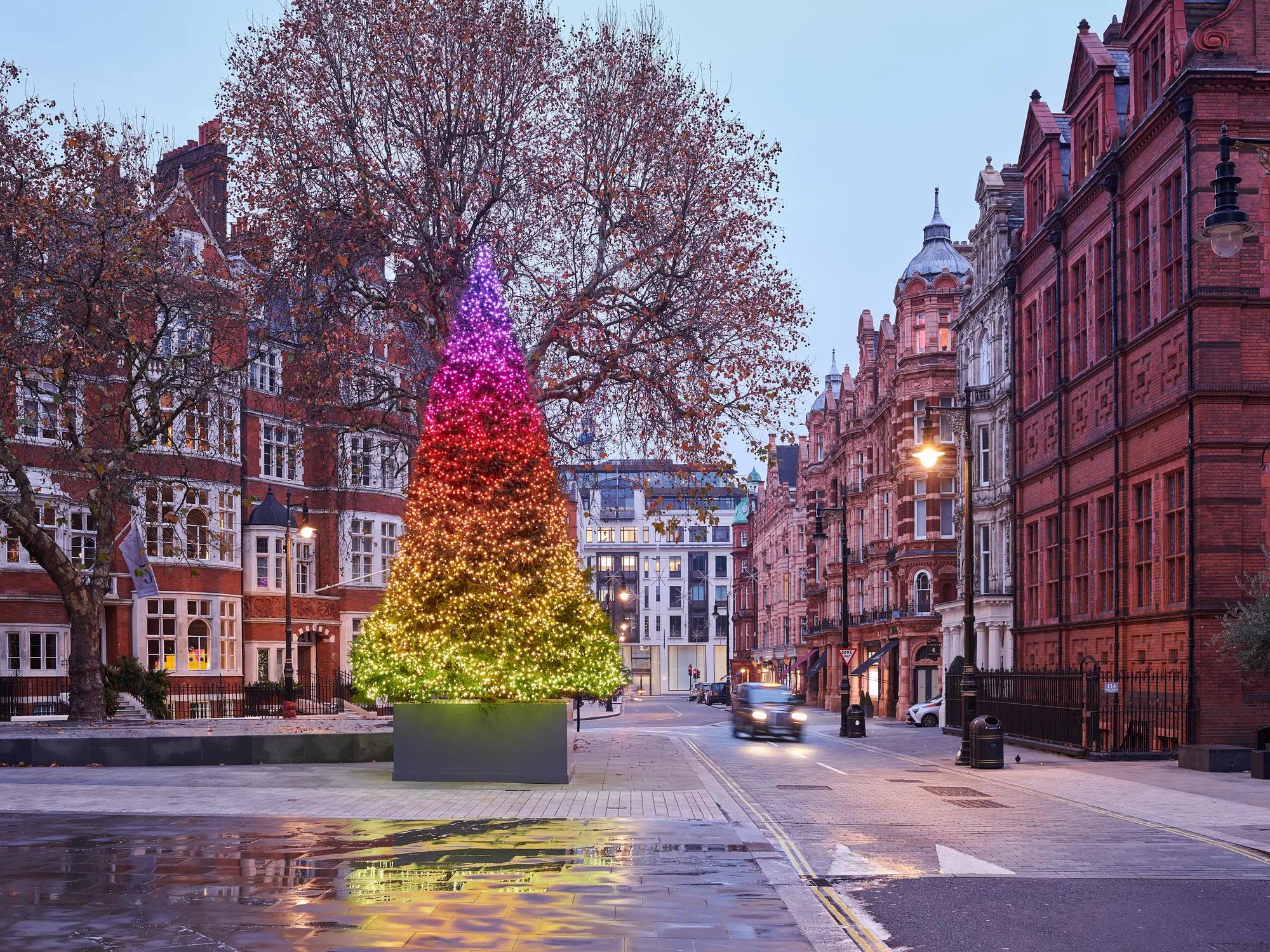 Rainbow-lit Christmas tree in planter on London street with red-brick buildings at dusk.