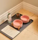 Pink dog bowls with bottled water, treats, and a menu on a tray against tiled floor.