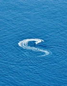A speedboat creates an S-shaped trail of white foam across the deep blue sea.