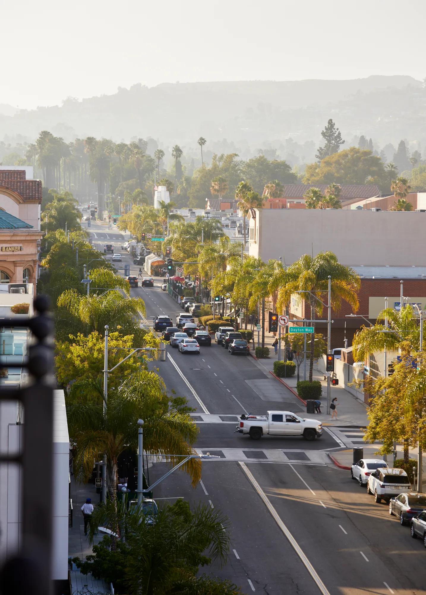 Palm-lined street with clear sky in Beverly Hills.