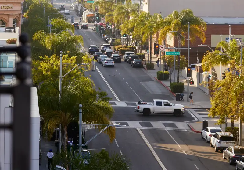 Palm-lined street with clear sky in Beverly Hills.
